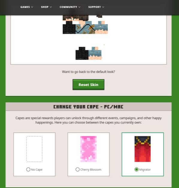 Basic Minecraft Account