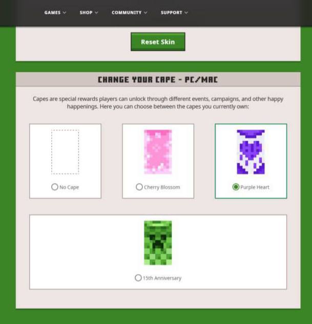 Premium Minecraft Account